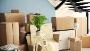 Run Cargo Packers Movers