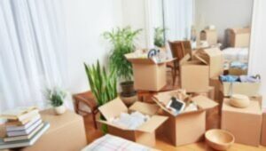 Packers and Movers Noida Extension