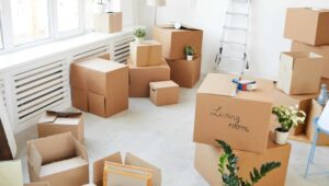 Packers and Movers Dabri Delhi