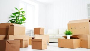 Packers and Movers Delhi Cantt Delhi