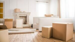 Packers and Movers Laxmi Nagar Delhi