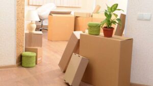 Packers and Movers Dwarka Delhi