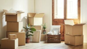 Packers and Movers Sector 168 Noida