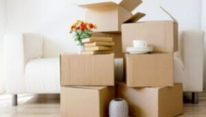Packers and Movers Mayur Vihar Delhi