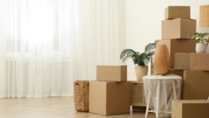 Packers and Movers Gandhi Nagar Delhi