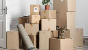 Packers and Movers Mukherjee Nagar Delhi