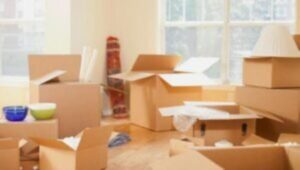 Packers and Movers Vikaspuri Delhi