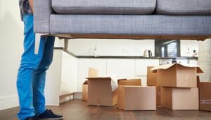 Packers and Movers Burari Delhi